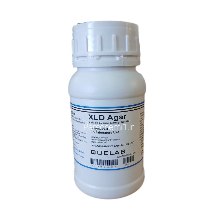 زایلوز لیزین دئوکسی کولات (XLD) آگار کیولب