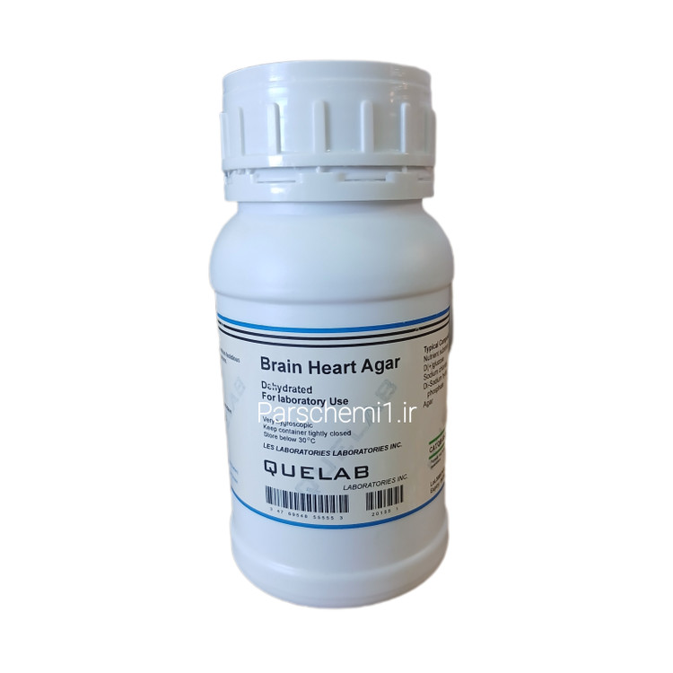 محیط کشت برین هارت آگار کیولب (BHI Agar)